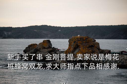 新手買(mǎi)了串 金剛菩提,賣(mài)家說(shuō)是梅花樁蜂窩雙龍,求大師指點(diǎn)下品相感謝...