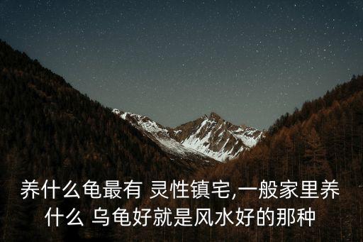 養(yǎng)什么龜最有 靈性鎮(zhèn)宅,一般家里養(yǎng)什么 烏龜好就是風(fēng)水好的那種