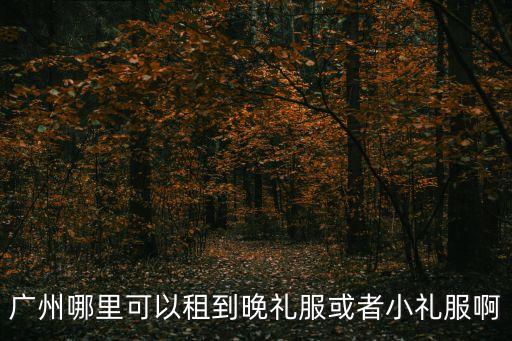 廣州哪里可以租到晚禮服或者小禮服啊