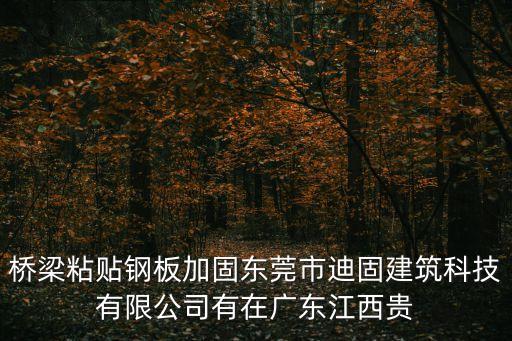 橋梁粘貼鋼板加固?hào)|莞市迪固建筑科技有限公司有在廣東江西貴