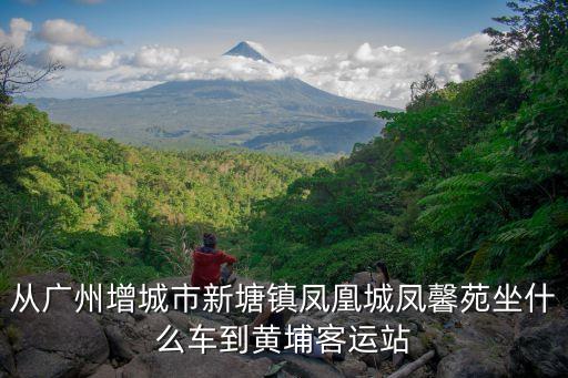 廣州新塘鳳馨苑二手，從增城新塘鳳馨苑到增城新塘廣場有公交車坐