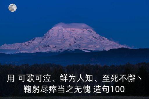 用 可歌可泣、鮮為人知、至死不懈丶鞠躬盡瘁當之無愧 造句100