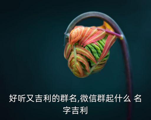 好聽又吉利的群名,微信群起什么 名字吉利