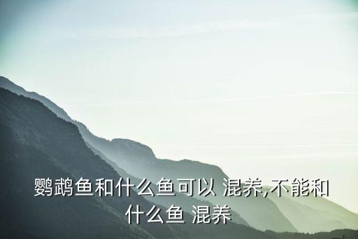 鸚鵡魚混養(yǎng),什么魚能和迷你鸚鵡魚混養(yǎng)