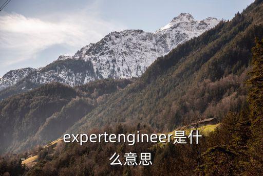 expert什么意思
