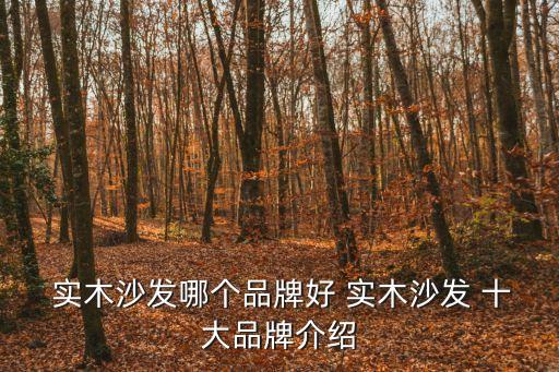  實木沙發哪個品牌好 實木沙發 十大品牌介紹