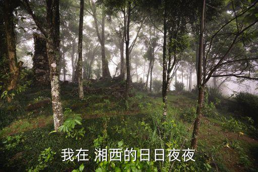 湘西古鎮