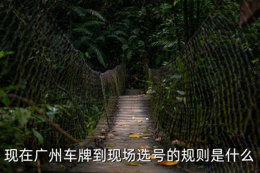 現(xiàn)在廣州車牌到現(xiàn)場(chǎng)選號(hào)的規(guī)則是什么