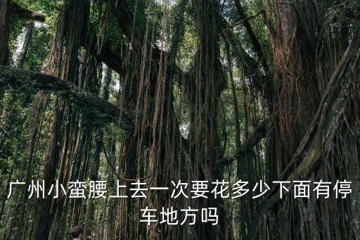 廣州小蠻腰上去一次要花多少下面有停車地方嗎