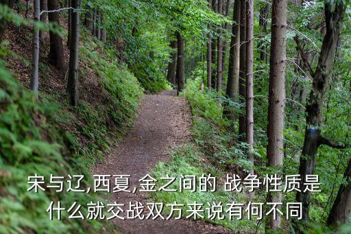 宋金戰爭,宋金之戰是什么性質的戰爭內戰?
