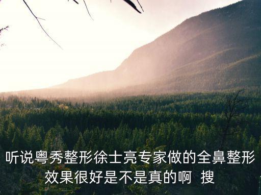 聽說粵秀整形徐士亮專家做的全鼻整形效果很好是不是真的啊  搜