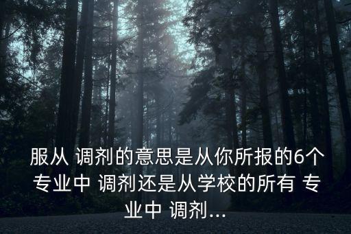 專業(yè)服從調劑,我單招填了2個專業(yè)服從調劑