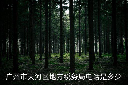 廣州市天河區地方稅務局電話是多少