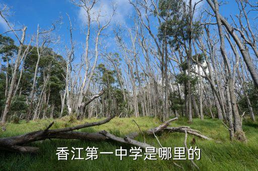 香江第一中學是哪里的