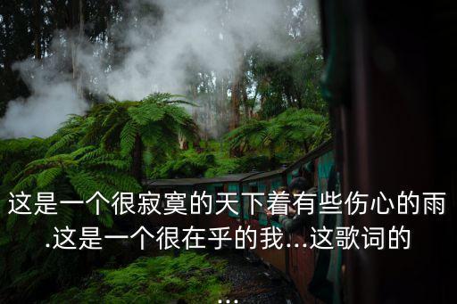 這是一個很寂寞的天下著有些傷心的雨.這是一個很在乎的我...這歌詞的...