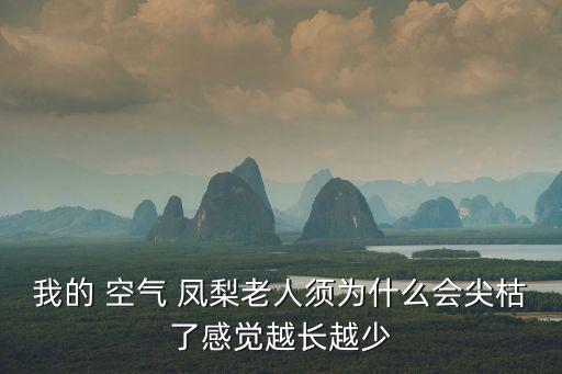 空氣鳳梨對人危害,為什么不建議養空氣鳳梨