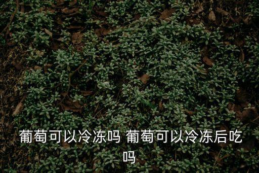  葡萄可以冷凍嗎 葡萄可以冷凍后吃嗎