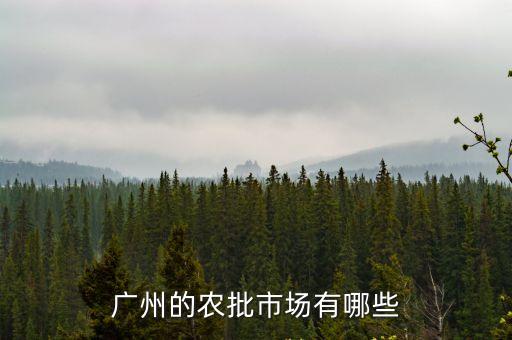 廣州的農批市場有哪些