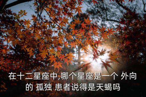 外向的孤獨患者,外向孤獨患者英語縮寫:活成個外向的孤獨者