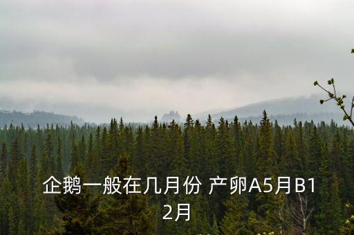 企鵝產卵,為什么是兄弟企鵝來查軟而非此地企鵝產卵