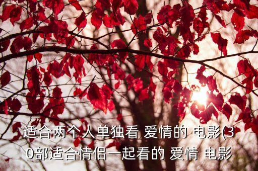 適合兩個人單獨(dú)看 愛情的 電影(30部適合情侶一起看的 愛情 電影