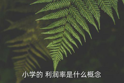 小學(xué)的 利潤(rùn)率是什么概念