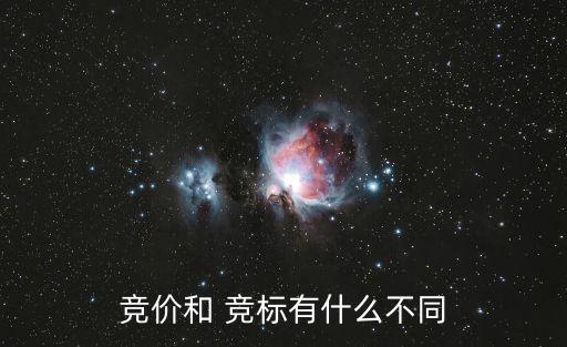競標是什么意思,投標是什么意思