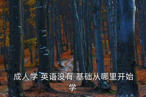 成人零基礎(chǔ)學(xué)英語(yǔ),零基礎(chǔ)自學(xué)英語(yǔ):從字母音標(biāo)開(kāi)始學(xué)習(xí)