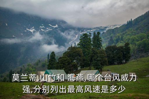 超強臺風海燕