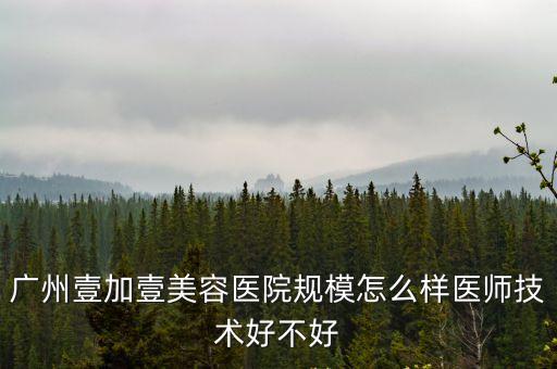 廣州壹加壹美容醫(yī)院規(guī)模怎么樣醫(yī)師技術(shù)好不好