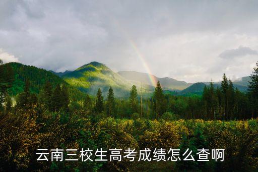 云南高考查分,高考成績公布后可登錄教育考試院門戶網(wǎng)站查詢