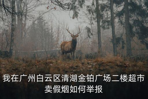 廣州煙草局稽查大隊，我在廣州白云區清湖金鉑廣場二樓超市賣假煙如何舉報