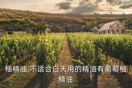 葡萄柚精油,不適合白天用的精油有葡萄柚精油