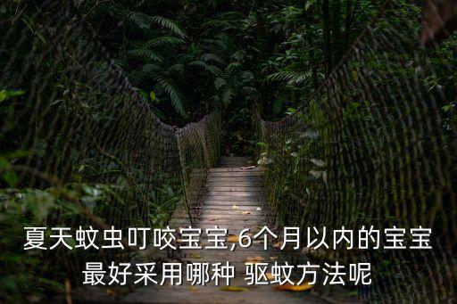 夏天蚊蟲叮咬寶寶,6個月以內的寶寶最好采用哪種 驅蚊方法呢