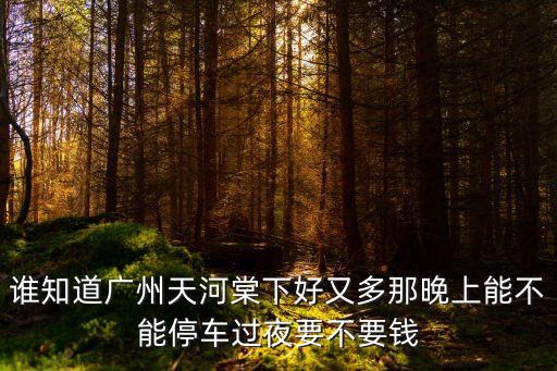 廣州夜晚好玩能停車，誰知道廣州天河棠下好又多那晚上能不能停車過夜要不要錢