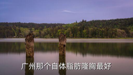 廣州那個自體脂肪隆胸最好