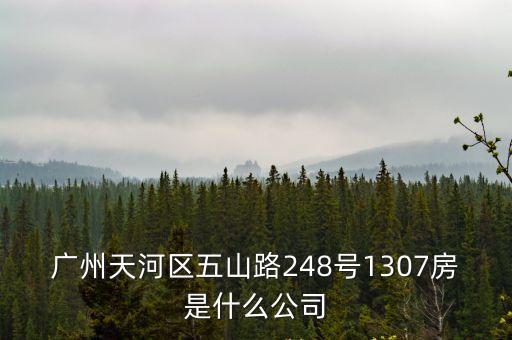 廣州天河區五山路248號1307房是什么公司