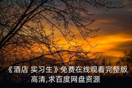 實(shí)習(xí)生電影