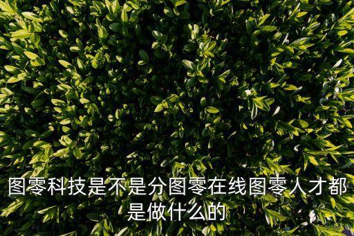廣州圖零科技，圖零科技這家公司怎么樣資質(zhì)全嗎正規(guī)嗎