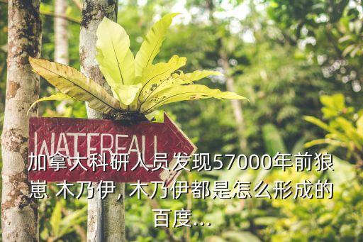 木乃伊5,回顧（四）:時(shí)空穿越