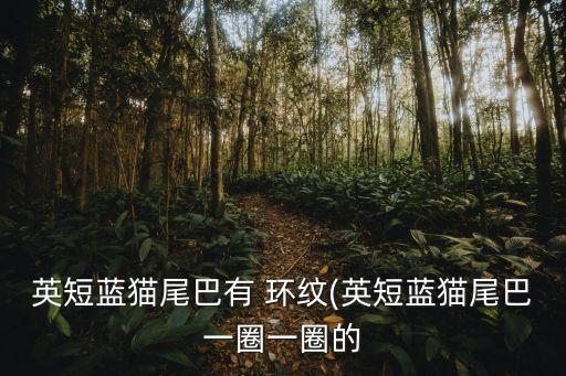 環紋,白宮燈飾布置精美素描圖集