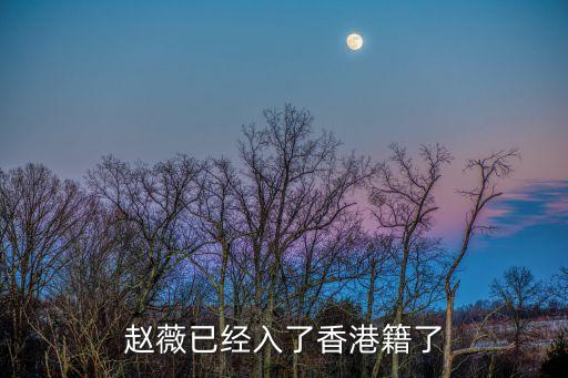廣州優才計劃筆試貼吧，趙薇已經入了香港籍了