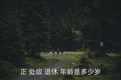 處級干部退休年齡,正處級公務員65歲退休