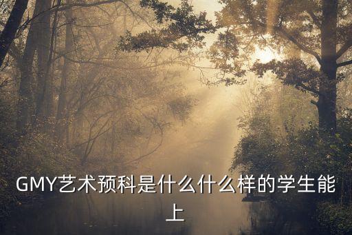 GMY藝術預科是什么什么樣的學生能上