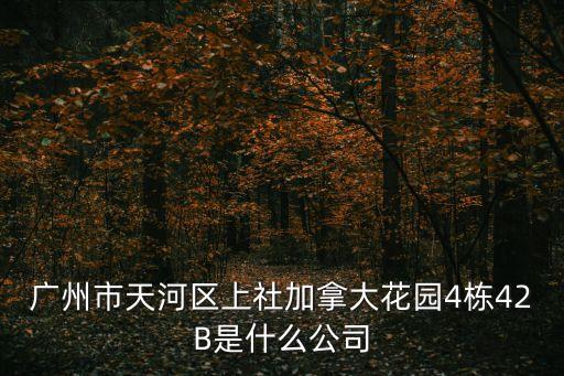 廣州市天河區(qū)上社加拿大花園4棟42B是什么公司