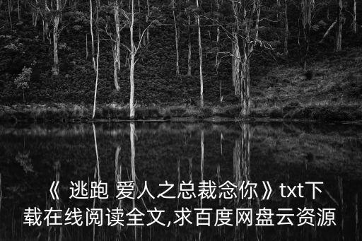 《 逃跑 愛人之總裁念你》txt下載在線閱讀全文,求百度網(wǎng)盤云資源
