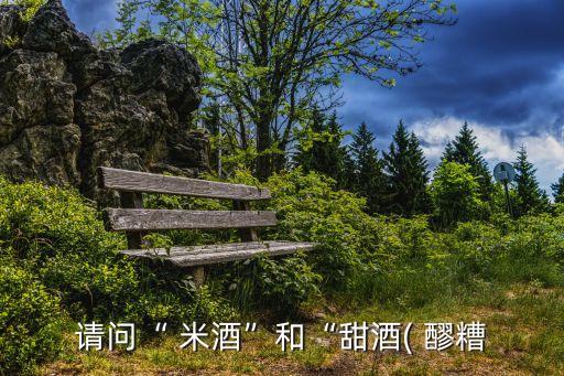 米酒和醪糟的區別,孝感米酒和醪糟的區別