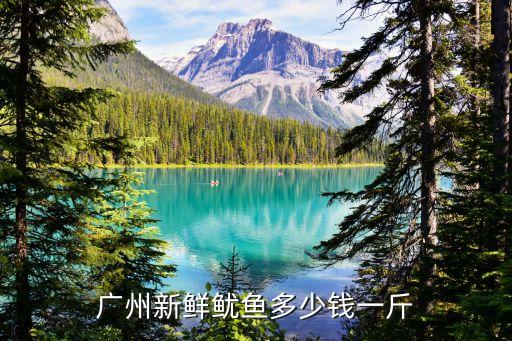 廣州新鮮魷魚多少錢一斤