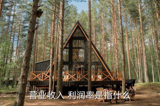 營(yíng)業(yè)收入 利潤(rùn)率是指什么