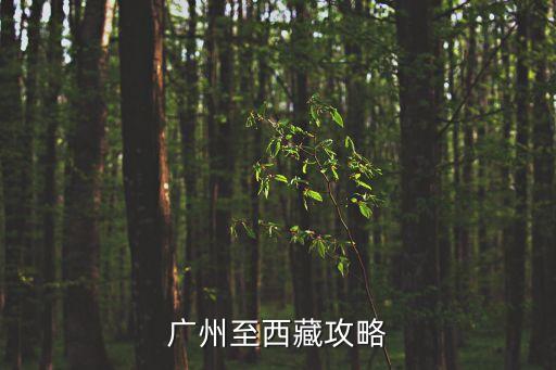 廣州至拉薩自駕游攻略，廣州去拉薩自助游